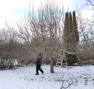 vinter_20190311_142600