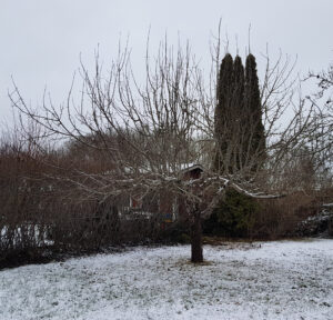 vinter_20200305_093120