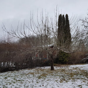 vinter_20200305_102829